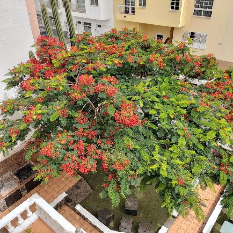 Corralejo Garden&Relax Hostel ภายนอก รูปภาพ